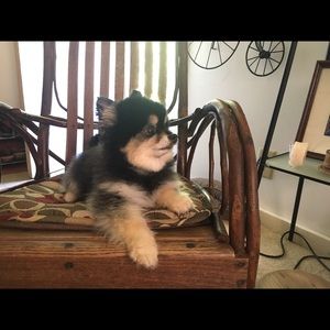 Meet your Posher, Mark